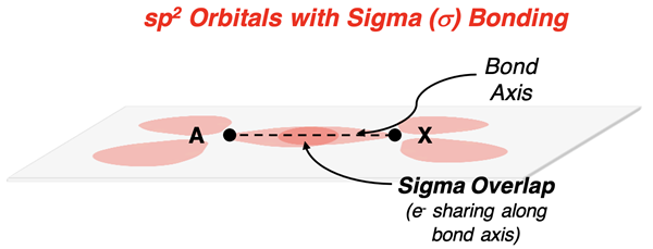 Visual model showing sigma bond overlap for central and terminal atoms.