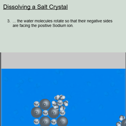 Dissolving Salt Simulation Screenshot