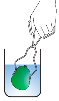 Apparatus for common lab experiment for the study of the volume-temperature relationship.