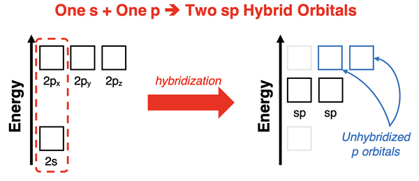 Energy level diagram showing s and one p orbital hybridizing to form two equal-energy sp orbitals.