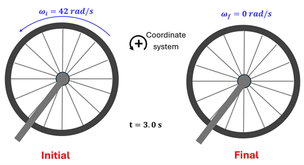 Diagram of the wheel and variables for Check Understanding 1.  It shows 2 bike wheels, the first spinning with a blue curved arrow with omega sub i (initial angular acceleration) equals 42 rad per second and 