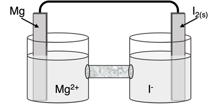 Schematic diagram of a Mg-I2 cell