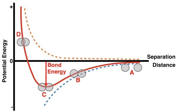 Potential energy well diagram with optimal separation distance marked.