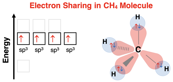 Energy level diagram and 3D spatial model showing orbital overlap and electron sharing in CH4.