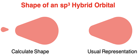 Shape of an sp3 hybrid orbital.