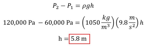 We start with P2 - P1 = rho g h.  P2 we want to be double P1, and P1 is 60,000 Pascal, so 120,000 - 60,000 = 1050 (density of water) times 9.8 (g) times h.  Solve for h and get 5.8 meters.