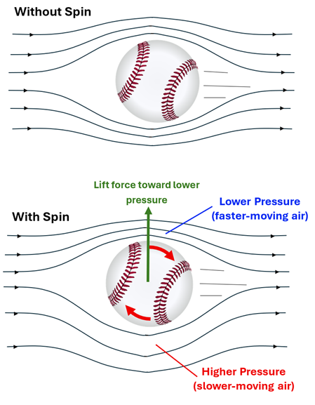 Two baseballs are shown being thrown through the air (the air shown as streamlines moving around the baseball).  The top shows the ball without spin.  The bottom shows the ball spinning clockwise as it goes to the left.  The spin causes the air above to move faster (creating a lower pressure) since the ball spins with the air, and the bottom creates a slower moving air (and thus higher pressure) since the ball is spinning against the air.  This results in an upward force (shown as an arrow upwards) towards the lower pressure.