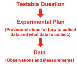 Listing describing the scientific process: develop a question, design an experiment, collect data to answer the question.