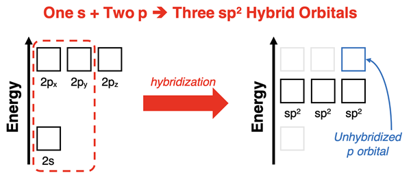 Energy level diagram showing s and two p orbitals hybridizing to form three equal-energy sp2 orbitals.