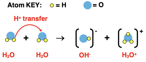 A particle diagram showing proton transfer for water’s self-dissociation reaction.