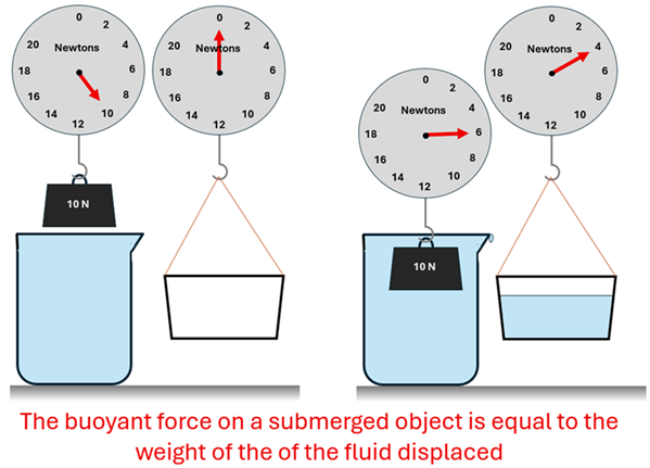 A weight is hung from a scale over a full jar of water.  The scale reads 10 Newton, and next to it is an empty bucket on a scale that shows 0 newtons.  To the right, the diagram shows the weight IN the water, with the water displaced now filling the previous empty bucket.  The scale for the weight now shows 6 newtons, and the scale for the bucket now shows 4 newtons.  The text reads the Buoyant force on a submerged object is equal to the weight of the fluid displaced.