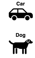 An object’s classification is based on observable properties; picture of car and of dog.