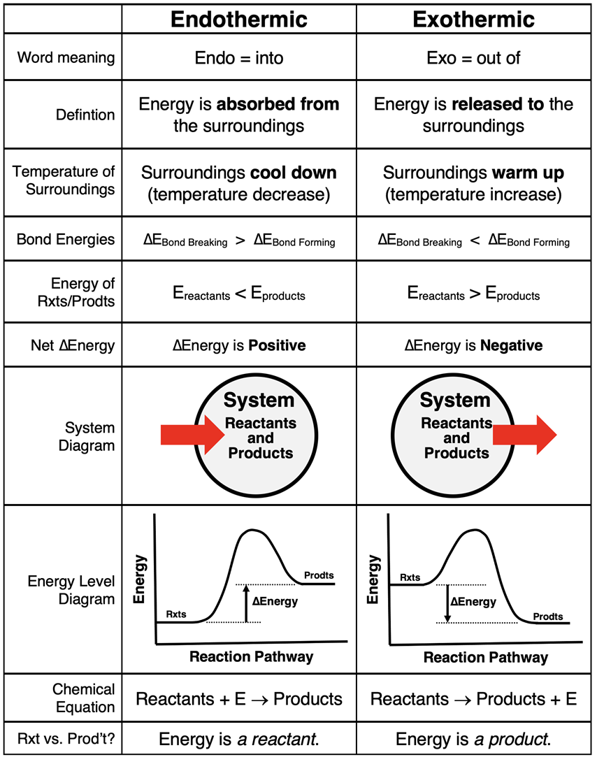 Table contrasting endothermic processes and exothermic processes on the basis of 10 criteria.