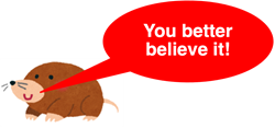 Mole Meme: mole picture with “You better believe it!” quote.