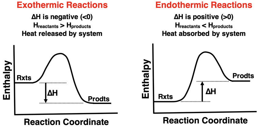 Two contrasting energy level diagrams - one for an endothermic reaction and the other for an exothermic reaction.