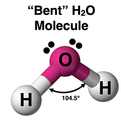 Ball-and-stick model of H20 with bond angles and lone pairs.