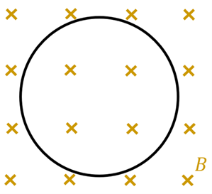 A loop of wire in a magnetic field going into the page.