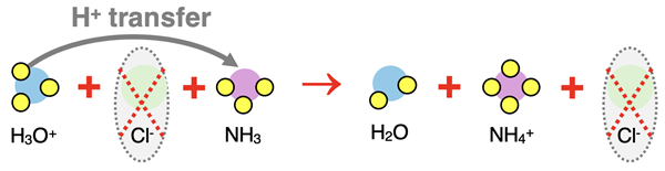 Particle diagram representing complete ionic equation for neutralization reaction of HCl with NH3. Acid, base, water, and salt are labeled; spectator ions are circled.