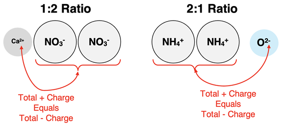 Two examples of how to recognize the ion ratio if given the formulae of the ions.