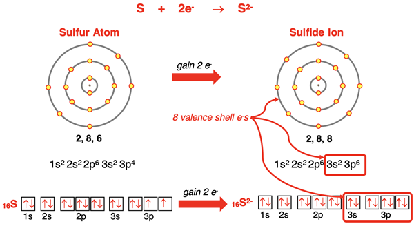 Electron shell diagrams, orbital box diagrams, and electron configurations representing S forming S2- ion.