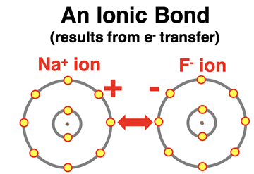 Electron shell diagrams representing the ionic bond between Na and F atoms.