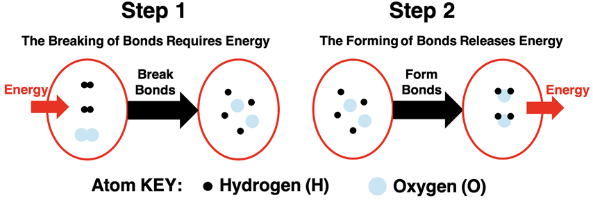 System diagrams contrasting bond breaking (energy enters the system) and bond forming (energy exits the system).
