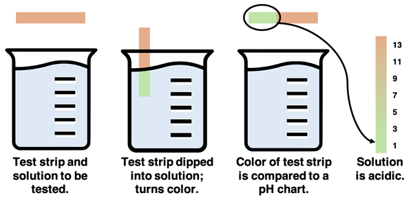 Diagram illustrating how a pH test strip works.