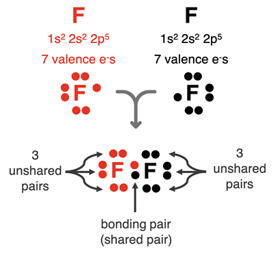 Electron dot diagrams used to show how two F atoms share electrons to form a covalent bond.