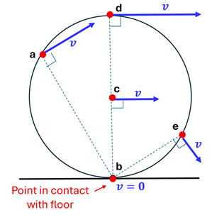 The same circle with points for check understanding 2.  Each point has a blue velocity line that points perpendicular to the bottom point of contact, with larger v values the further away from the bottom (larger radius).