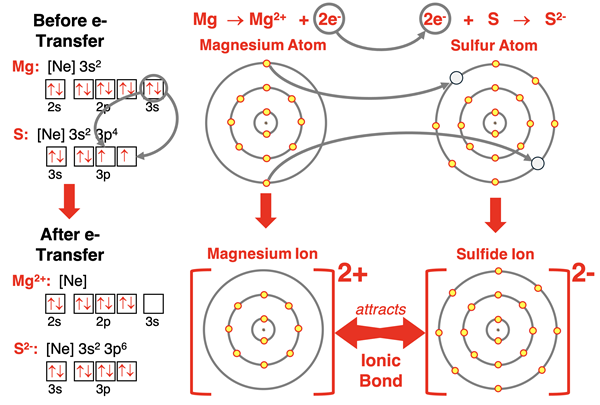 Electron shell and orbital box diagrams and e- configurations showing why Mg and S satisfy the octet rule by forming an ionic bond.