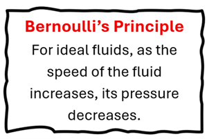 Bernoulli's Principle - For ideal fluids, as the speed of the fluid increases, its pressure decreases.