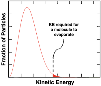 Fraction of particles (y-axis) vs. KE showing a curve that starts at 0 and steeply rises to a maximum and then falls exponentially. Only a small fraction of particles exceed the minimum KE value to escape the liquid.