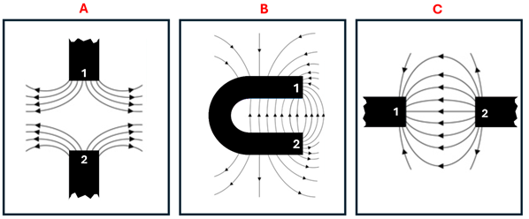 Three magnet and magnetic field line diagrams. A with two ends of a magnet with magnetic field lines moving out and to the sides away from the magnets. B a Horse shoe magnet with magnetic lines moving around it. and C two magnets with magnetic lines moving in between the two magnets and around it.