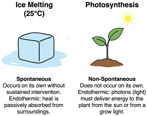 Comparison of two terms - endothermic processes and non-spontaneous processes - and their meaning, used in the context of ice melting at room temperature and plant photosynthesis.