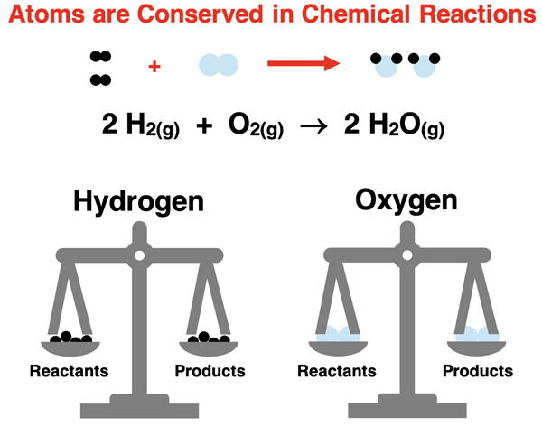 Atoms are conserved in a chemical reaction.