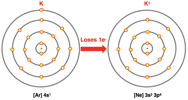 Electron shell diagrams for K and its ion.