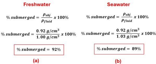 Both Freshwater and Seawater are calculated the same.  We take the percent submerged = rho sub obj over rho sub fluid times 100 percent.  For freshwater, 0.92 g per cubic cm over 1 gram per cubic centimeter times 100 percent is 92 percent.  For seawater, 0.92 grams per cubic centimeter over 1.03 grams per cubic centimeter times 100 percent is 89 percent.