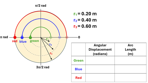 A circle with 3 radius outlined, green 0.20 meters, blue 0.4 meters, and red 0.6 meters.  Each start at 0 and make an arc of pi radians (180 degrees).  A table is shown to solve, with rows of Green Blue and Red, and Colums of Angular Displacement in Radians and Arc Length in Meters.