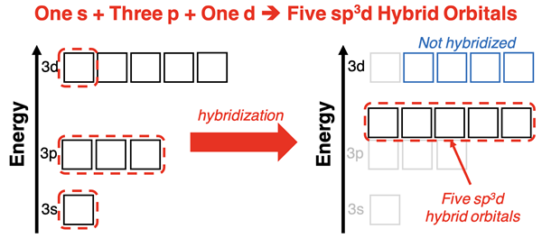 Energy level diagram showing s and three p orbitals and one d orbital hybridizing to form five equal-energy sp3d orbitals.