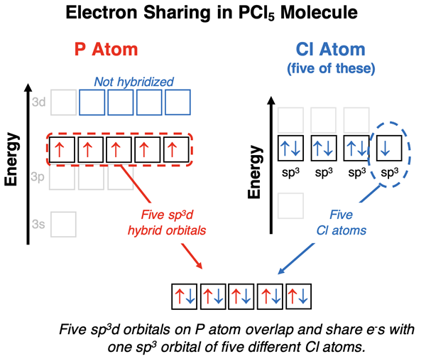 Energy level diagrams representing hybridization and bonding of P and Cl atoms in PCl5.