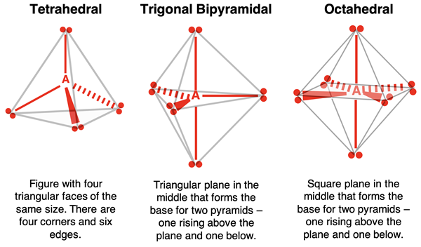 Spatial models and description of tetrahedral, trigonal planar, and octahedral geometries.
