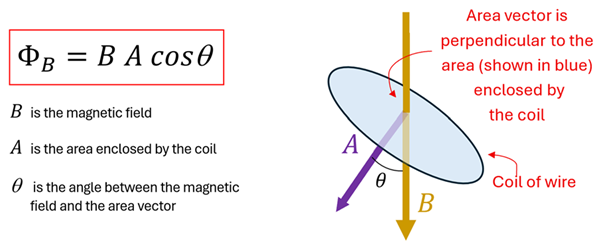 A diagram showing the magnetic flux equation (flux equals magnetic field (B) times Area enclosed by coil (A) times the cosine of the Angle between the magnetic field and area vector (Theta).  A picture shows a circular area at an angle with Theta between the magnetic field piercing it and the direction the area is facing with theta between them.