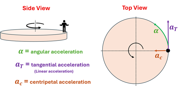 A side and top view of a rotating disc with arrows depicting the types of acceleration.  A person is standing at the edge of the disc (at 0 degrees) and it is rotating counter clockwise.  From the top view, a green arrow is arcing with the circle and labeled alpha (angular acceleration).  An arrow straight up is labeled a sub t (tangential acceleration - linear), and a smaller arrow is pointing straight towards the center of the circle and is labeled a sub c (centripetal acceleration)