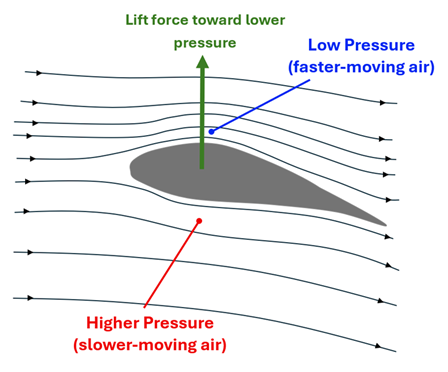A side view of an airplane's wing foil is shown, which has a taller 'hump' on the top than the bottom, and a curved back.  Wind Streamlines are drawn, showing that the air over the top has to travel farther (and faster) than the air on the bottom, this creates a low pressure (faster moving air) on the top and a higher pressure (slower-moving air) on the bottom, which creates a left force towards the lower pressure (indicated by a green force arrow up).