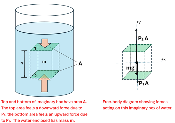 Two illustrations are shown of a container (a rectangular prism h height, with surface area labeled A (area), with a mass labeled m.  In the left illustration the object is within a cylinder of water, and there is a small force arrow pushing down on the top face, and a larger force arrow pushing up on the bottom of the bottom face.  The text reads Top and bottom of imaginary box have area A.  The top area feels a downward force due to P1 (pressure on top surface area labeled 1) and the bottom area feels an upward force due to P2 (Pressure on bottom surface labeled 2).  The water enclosed has mass m.  To the right of this illustration a force diagram is given for our imaginary box.  From the box's center of mass, an upward force arrow P2 A is pointing up, then there is a downward mg force (force of gravity, mass times g) and another downward force P1 A.  The free-body diagram showing forces acting on this imaginary box of water.