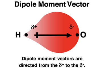 Electron distribution, partial charges, and dipole moment vector for the H-O bond.