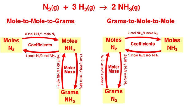 Flow diagram illustrating conversion factors linking grams of a reactant to moles of a product in stoichiometry; specific to ammonia synthesis reaction.