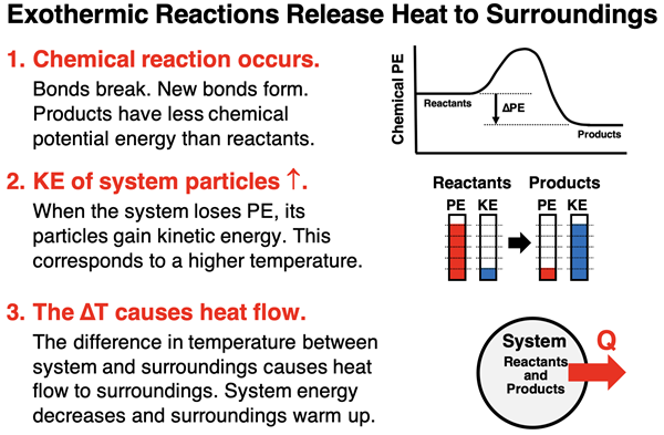 A 3-step sequential diagram showing how exothermic reactions create a temperature differential, thus leading to the flow of heat from system to surroundings.