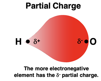 Electron distribution and partial charges for the H-O bond.