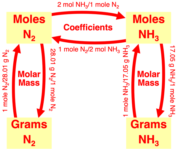 Flow diagram illustrating conversion factors linking grams of a reactant to grams of a product in stoichiometry; specific to ammonia synthesis reaction.